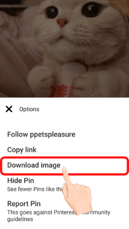 Unduh Gambar Pinterest